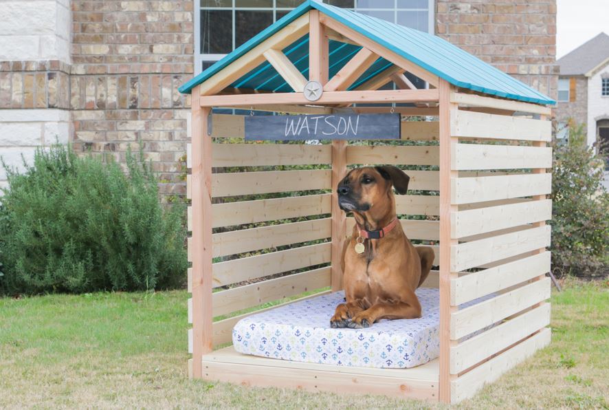 best dog house for great dane